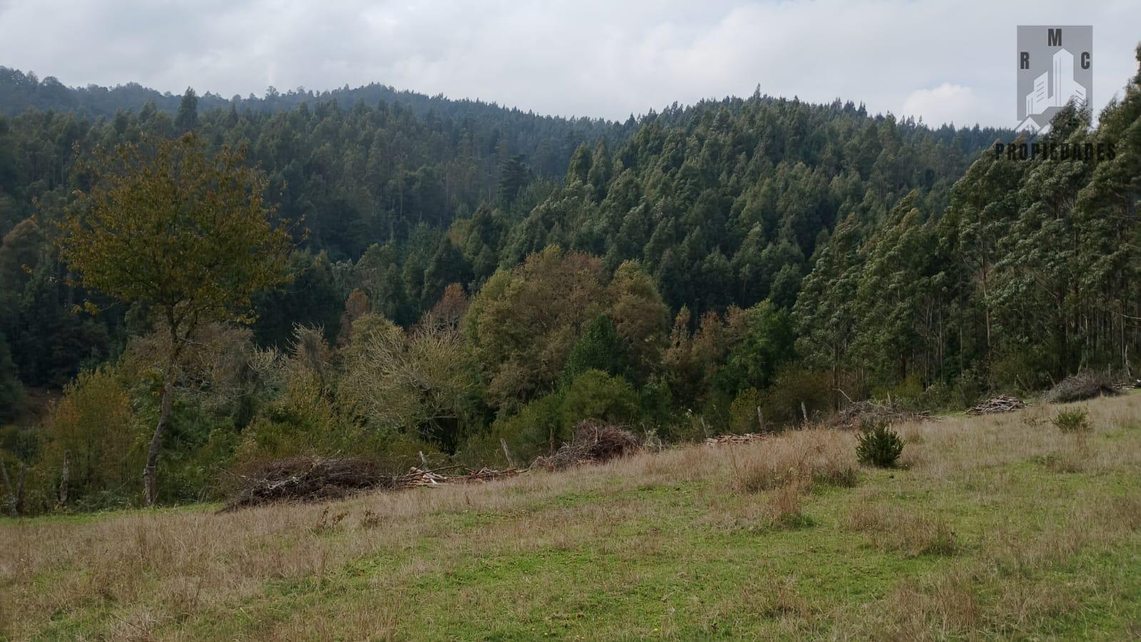 TERRENO DE 7,84 HÁ. COMUNA LOS LAGOS, REGION DE LOS RÍOS